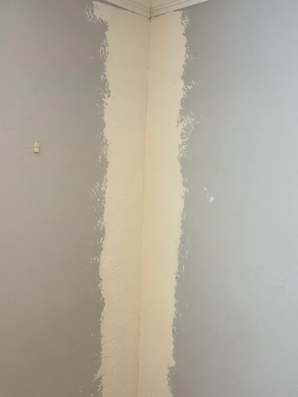 Applying joint compound to level the new patch and blend it with the surrounding plaster surface.